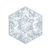 Hexagon White #12