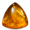Trillion Baltic Amber
