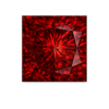 Square Nano Garnet Medium 162